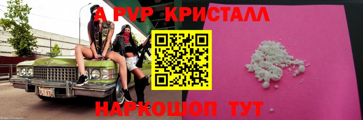 Альфа ПВП СК КРИС Гусиноозёрск