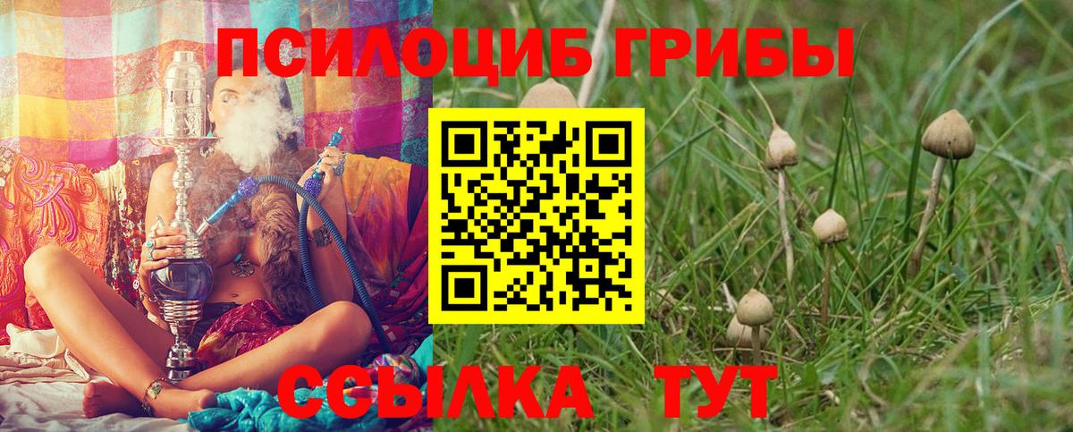 НБОМе  ГАШ  ТГК  Вход с VPN  МЕФ кристаллы  Бошки Шишки  Гусиноозёрск  КОКАИН 
