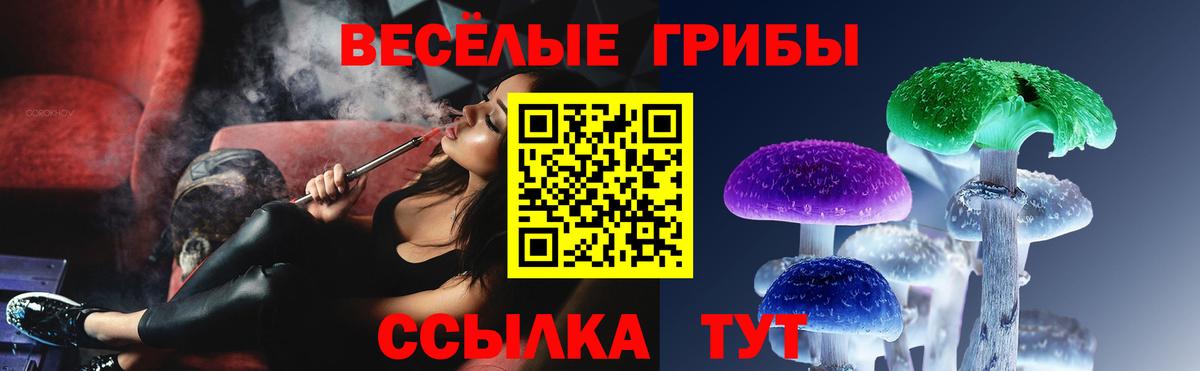 Гусиноозёрск  Псилоцибиновые грибы прущие грибы  Вход с VPN 